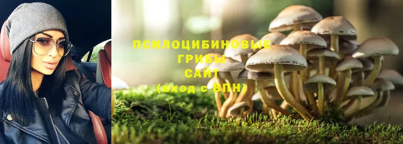 Галлюциногенные грибы Magic Shrooms Осташков